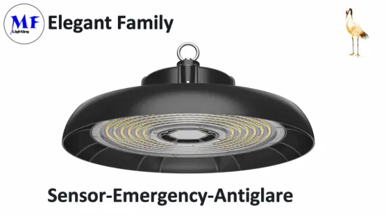 Highbay Light Warehouse Light UFO Lights Fixture 100W 150W 200W 150lm/W IP66 Fabrikpreis High Bay Light